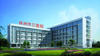 株洲市三醫(yī)院 微創(chuàng)技術(shù)開啟新篇章，賦能新材料技術(shù)開發(fā)服務(wù)